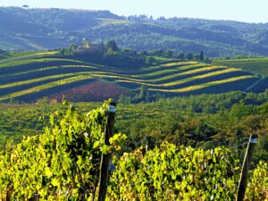 Best Day Trips from Florence: Tuscany’s Hidden Villages